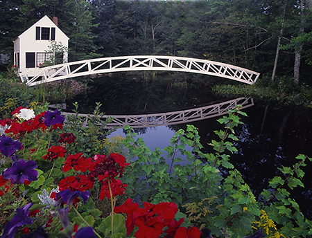 Flowers and Bridge on Mount Desert Island, Maine